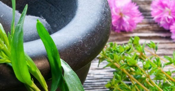 Online Top Best Selling 5 Ayurvedic Medicine Stamina India